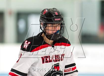Thumbnail 1 in Oliver Ames @ Wellesley photogallery.