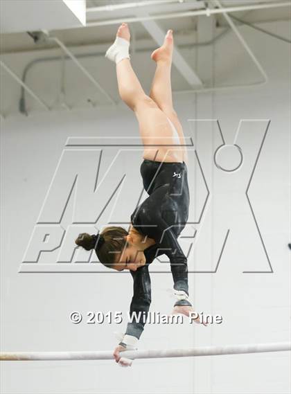Thumbnail 2 in Section 9 Final (Bars) photogallery.