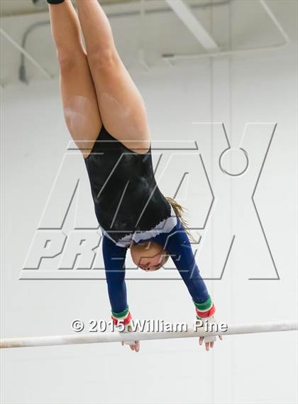 Thumbnail 1 in Section 9 Final (Bars) photogallery.