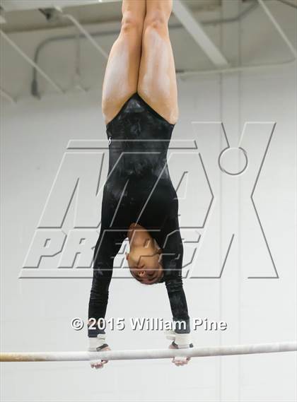 Thumbnail 1 in Section 9 Final (Bars) photogallery.