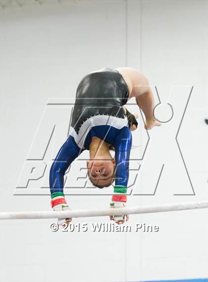 Thumbnail 2 in Section 9 Final (Bars) photogallery.