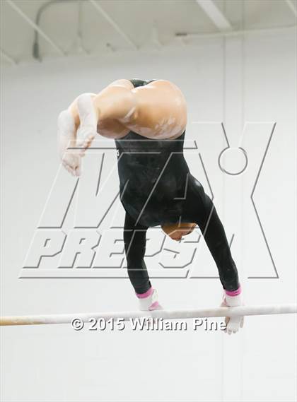Thumbnail 1 in Section 9 Final (Bars) photogallery.