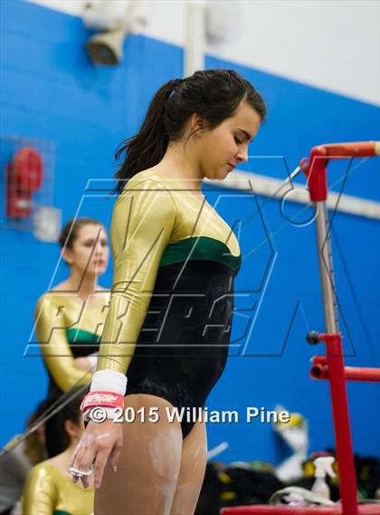 Thumbnail 1 in Section 9 Final (Bars) photogallery.
