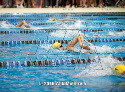 Thumbnail 1 in NCHSAA 4A State Swimming Championships (Finals) photogallery.