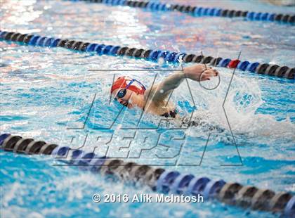 Thumbnail 1 in NCHSAA 4A State Swimming Championships (Finals) photogallery.