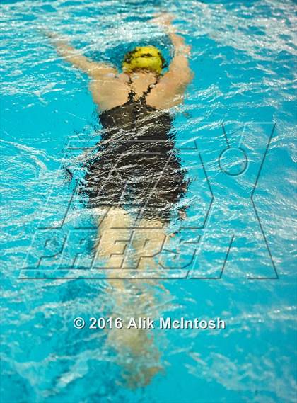 Thumbnail 1 in NCHSAA 4A State Swimming Championships (Finals) photogallery.