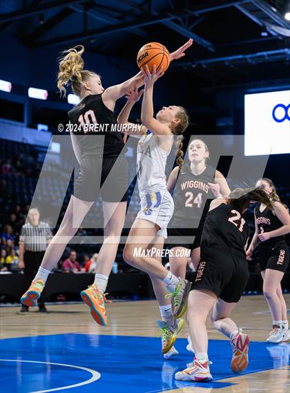 Thumbnail 1 in Wiggins vs. Simla (CHSAA 2A Third Place) photogallery.