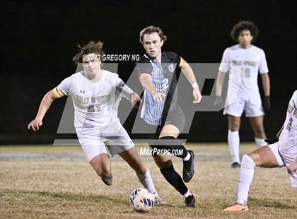 Thumbnail 3 in Holly Springs @ Panther Creek photogallery.