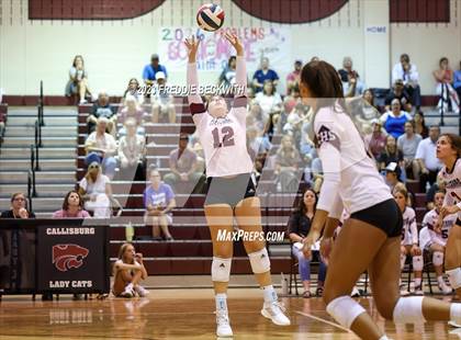 Thumbnail 1 in Bonham @ Callisburg photogallery.