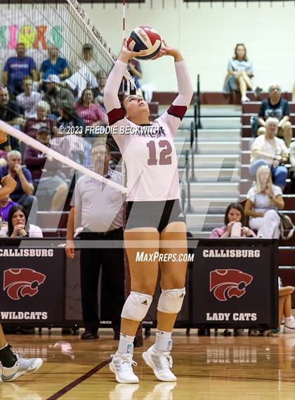 Thumbnail 3 in Bonham @ Callisburg photogallery.