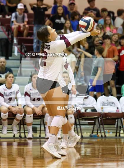 Thumbnail 3 in Bonham @ Callisburg photogallery.