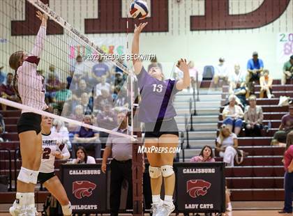Thumbnail 2 in Bonham @ Callisburg photogallery.