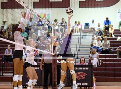 Thumbnail 2 in Bonham @ Callisburg photogallery.
