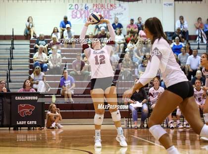 Thumbnail 3 in Bonham @ Callisburg photogallery.