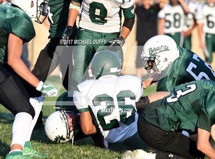 Thumbnail 1 in Burroughs @ Tehachapi photogallery.
