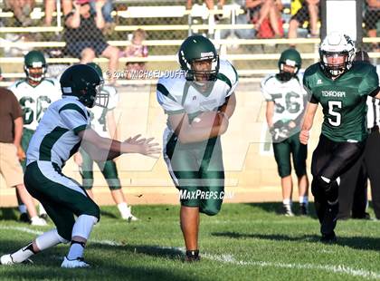 Thumbnail 1 in Burroughs @ Tehachapi photogallery.