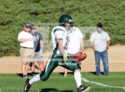 Thumbnail 3 in Burroughs @ Tehachapi photogallery.
