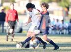 Photo from the gallery "Catholic @ Norfolk Academy"