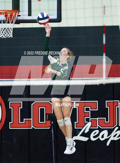Thumbnail 3 in Prosper @ Lovejoy photogallery.