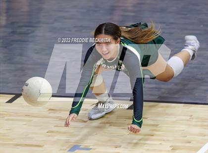 Thumbnail 3 in Prosper @ Lovejoy photogallery.