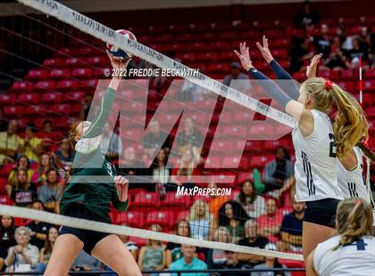 Thumbnail 3 in Prosper @ Lovejoy photogallery.