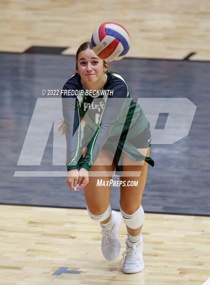 Thumbnail 2 in Prosper @ Lovejoy photogallery.