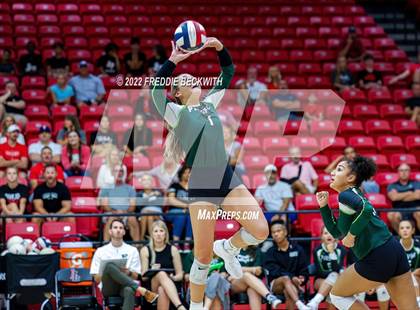 Thumbnail 2 in Prosper @ Lovejoy photogallery.