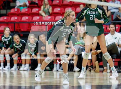 Thumbnail 1 in Prosper @ Lovejoy photogallery.