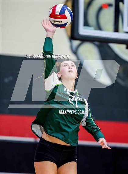 Thumbnail 2 in Prosper @ Lovejoy photogallery.
