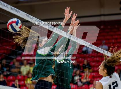 Thumbnail 1 in Prosper @ Lovejoy photogallery.