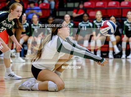 Thumbnail 2 in Prosper @ Lovejoy photogallery.