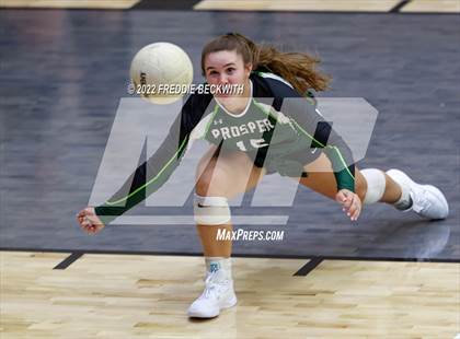 Thumbnail 1 in Prosper @ Lovejoy photogallery.