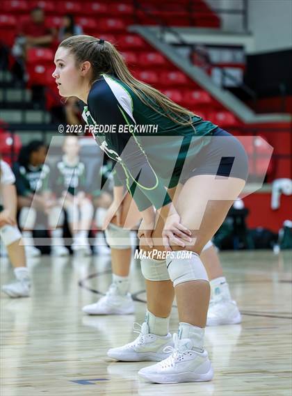 Thumbnail 1 in Prosper @ Lovejoy photogallery.