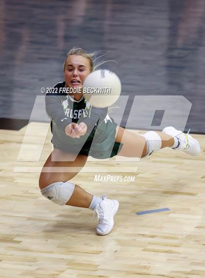 Thumbnail 2 in Prosper @ Lovejoy photogallery.