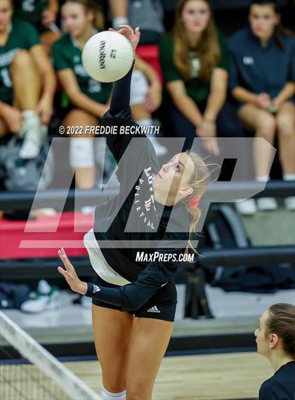 Thumbnail 3 in Prosper @ Lovejoy photogallery.