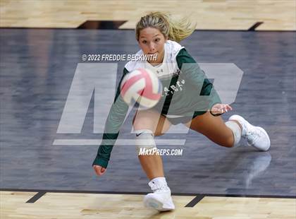 Thumbnail 3 in Prosper @ Lovejoy photogallery.