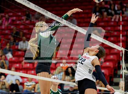 Thumbnail 1 in Prosper @ Lovejoy photogallery.