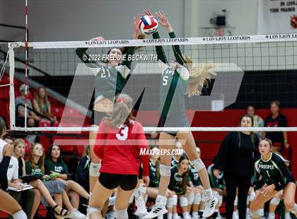 Thumbnail 1 in Prosper @ Lovejoy photogallery.