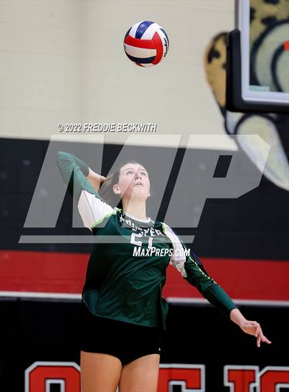 Thumbnail 2 in Prosper @ Lovejoy photogallery.