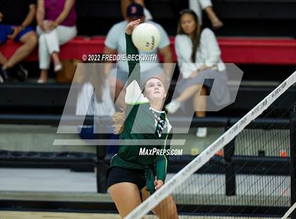 Thumbnail 1 in Prosper @ Lovejoy photogallery.