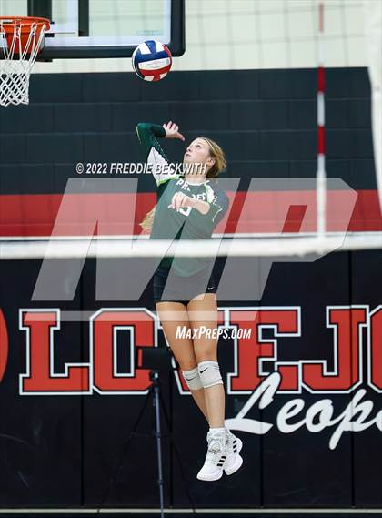 Thumbnail 1 in Prosper @ Lovejoy photogallery.