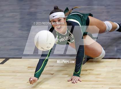 Thumbnail 1 in Prosper @ Lovejoy photogallery.