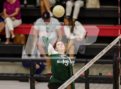 Thumbnail 2 in Prosper @ Lovejoy photogallery.