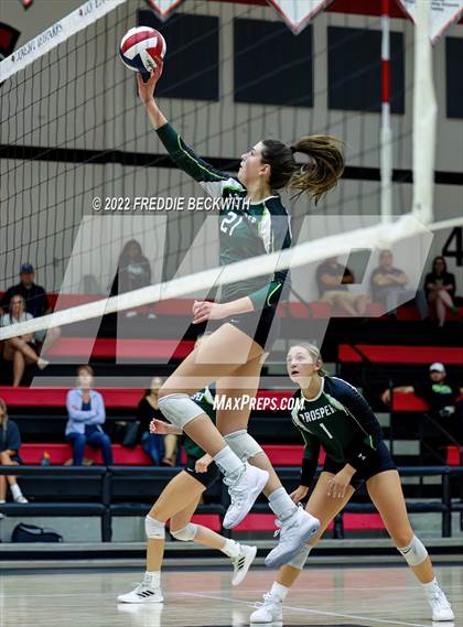 Thumbnail 3 in Prosper @ Lovejoy photogallery.