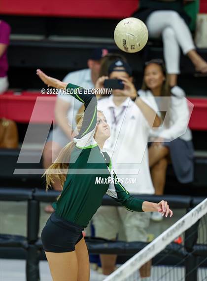Thumbnail 2 in Prosper @ Lovejoy photogallery.