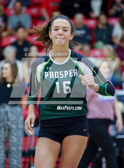 Thumbnail 3 in Prosper @ Lovejoy photogallery.