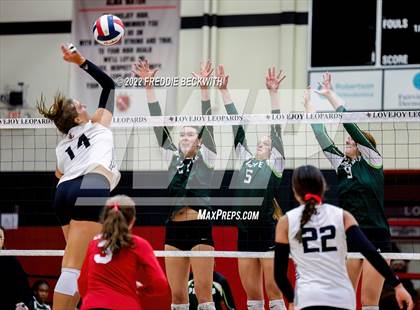 Thumbnail 1 in Prosper @ Lovejoy photogallery.