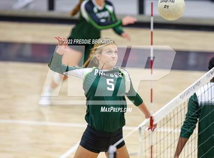 Thumbnail 1 in Prosper @ Lovejoy photogallery.