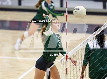Thumbnail 2 in Prosper @ Lovejoy photogallery.