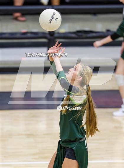 Thumbnail 2 in Prosper @ Lovejoy photogallery.